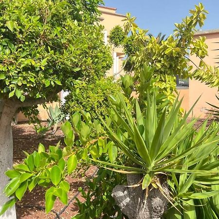 Ocean View Apartment In Orlando Costa Adeje  Εξωτερικό φωτογραφία