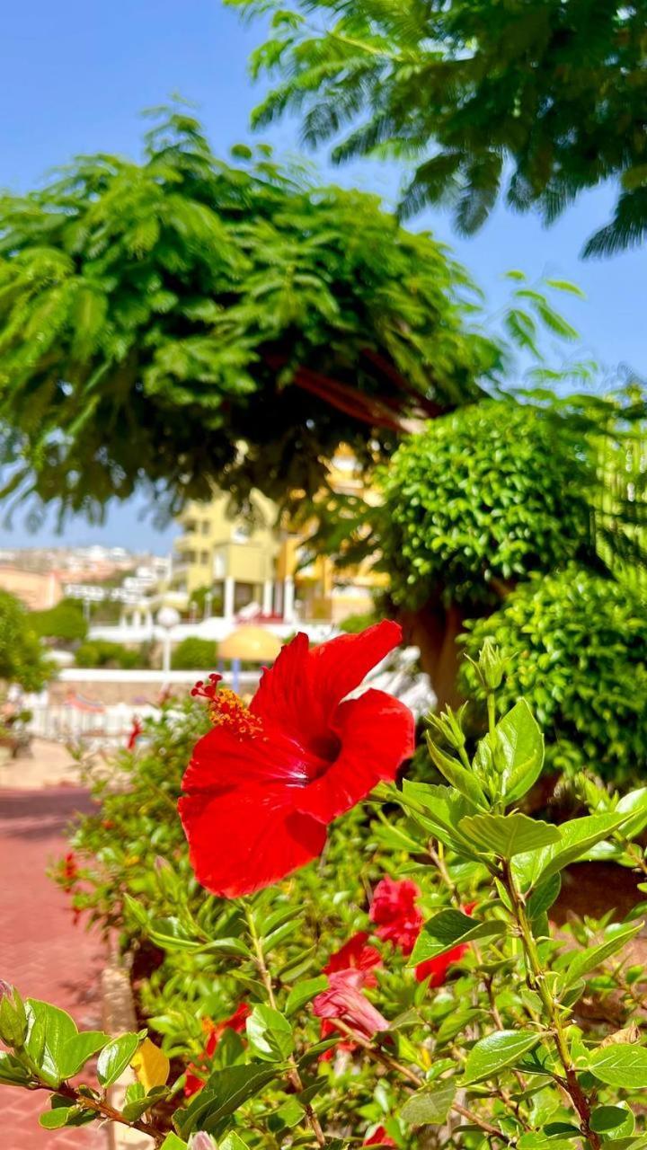 Ocean View Apartment In Orlando Costa Adeje  Εξωτερικό φωτογραφία
